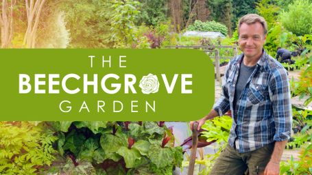 Beechgrove Garden