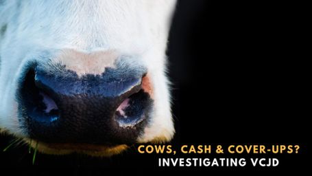 Cows, Cash & Cover-Ups: Investigating VCJD