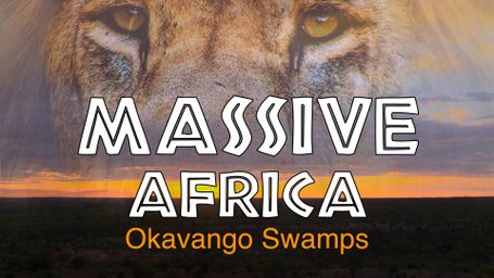 Massive Africa: Okavango Swamps