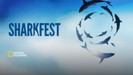 Sharkfest 2024