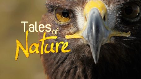 Tales of Nature