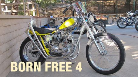 Born Free 4