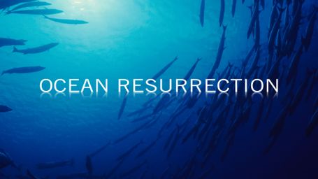 Ocean Resurrection