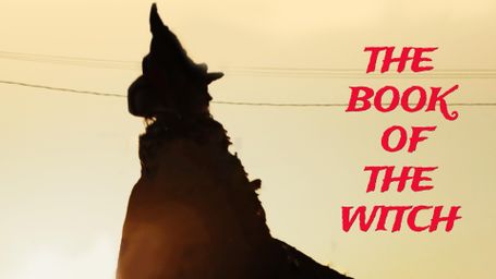 The Book of the Witch