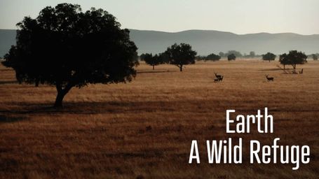 Earth: A Wild Refuge