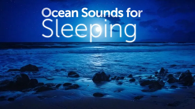 Ocean Sounds and Forest Nature Sound: Meditation, Sleep