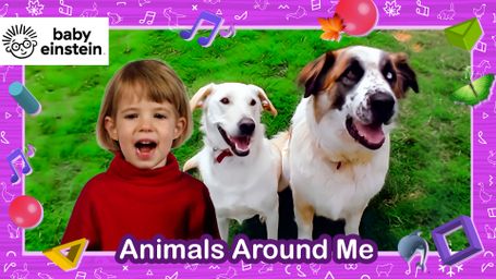 Baby Einstein Classics - Animals Around Me