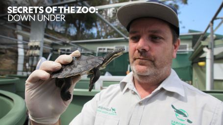 Secrets of the Zoo: Down Under