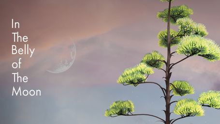 In the Belly of the Moon