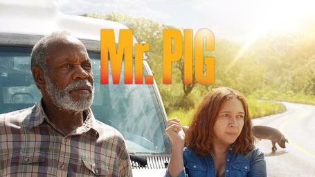 Mr. Pig