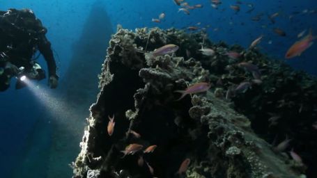 The Mystery of U-455