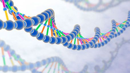 Other Mechanisms of Evolution