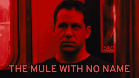 The Mule with No Name