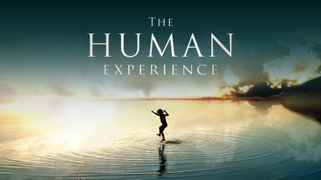 The Human Experience