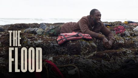 The Flood