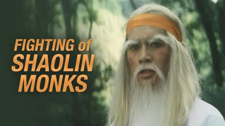 Fighting of Shaolin Monks