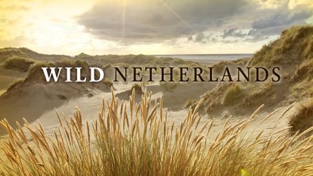 Wild Netherlands