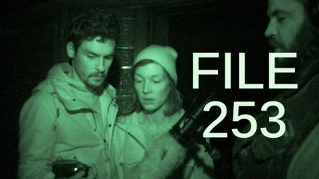 File 253