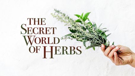The Secret World of Herbs