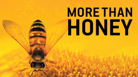 More Than Honey