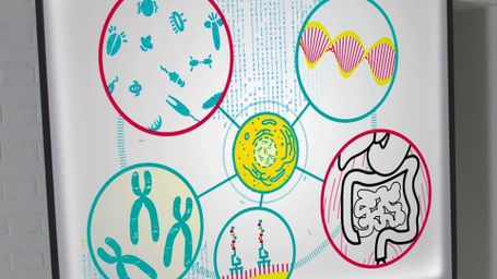 Can Algorithms Make Us Healthy?