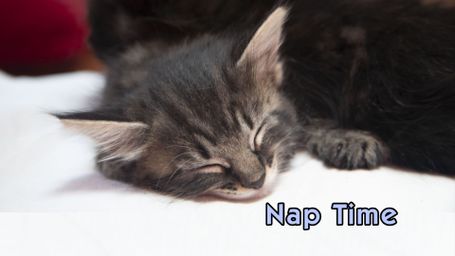 Nap Time