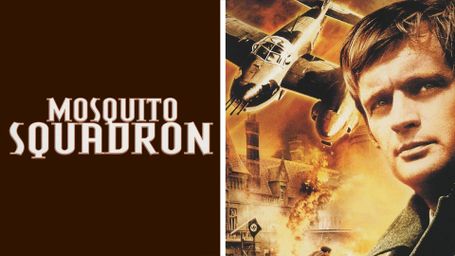 Mosquito Squadron