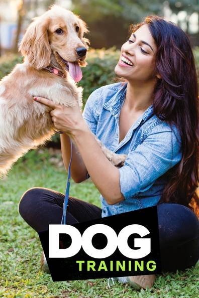 How to watch and stream Dog Training 101 - 2018-2018 on Roku