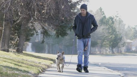 Education, Family, and Eternal Potential