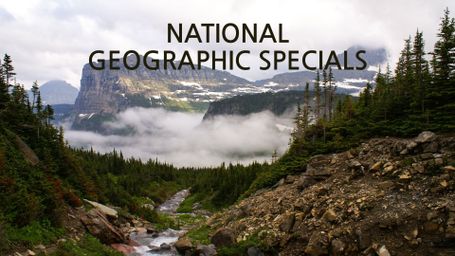 National Geographic Specials