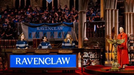 Harry Potter: Hogwarts Tournament of Houses