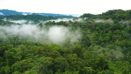 The Brazilian Amazon’s Tipping Point May Already Be Here