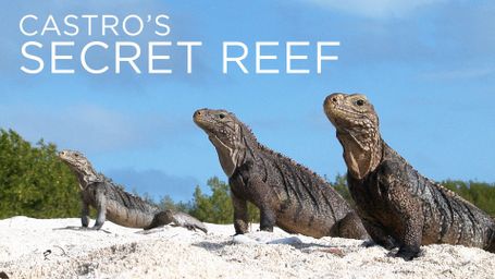 Castro's Secret Reef
