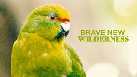 Brave New Wilderness