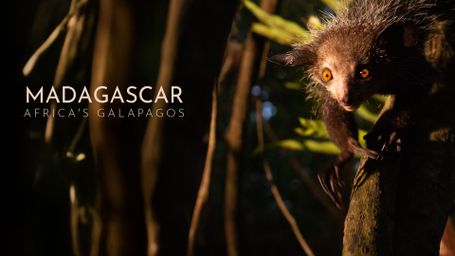 Madagascar: Africa's Galapagos
