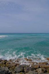 Ala Moana Beach and Waikiki Beach - Oahu Travel Guide