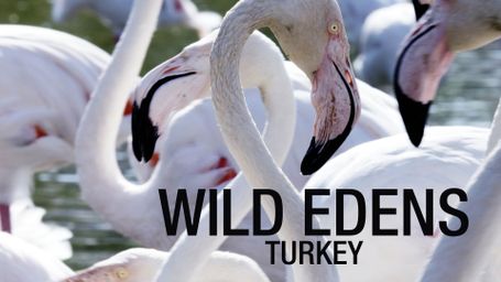 Wild Edens: Turkey