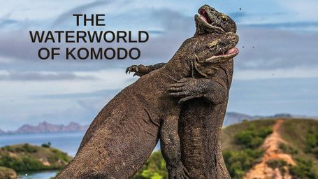 The Waterworld of Komodo