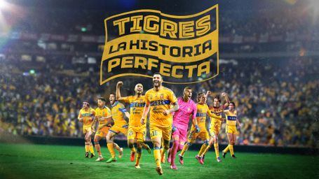 Tigres: La historia perfecta