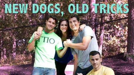 New Dogs, Old Tricks