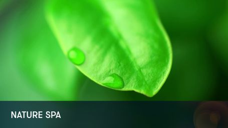 ZenLIFE Spa Series: Nature Spa