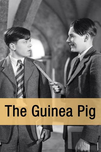 Stream guinea pig Pigs (1973)