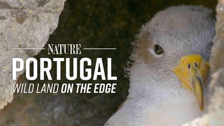 Portugal: Wild Land on the Edge
