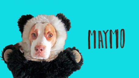 Maymo