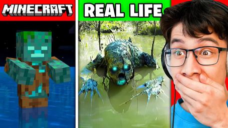 Minecraft IRL