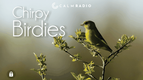 CHIRPY BIRDIES