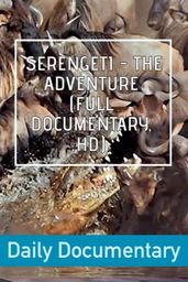 Serengeti - The Adventure (Full Documentary, HD)