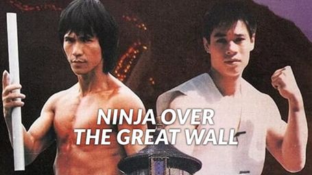 Ninja Over the Great Wall