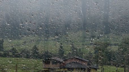 Rainy Countryside View - Rain, Cottage, Countryside, Mist, Nature, Calm, Reflection, Serenity, Window, Cozy - RELAXO is th
