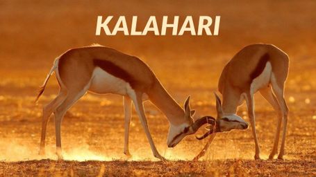 Kalahari